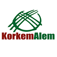 Директор "KorkemAlem", Н. Бүркітбай